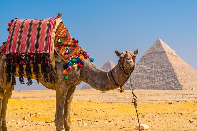 Private Tour: Cairo Day Trip From Hurghada, Including Round-Trip Flights, Giza Pyramids, Sphinx, and - Additional Information and Resources