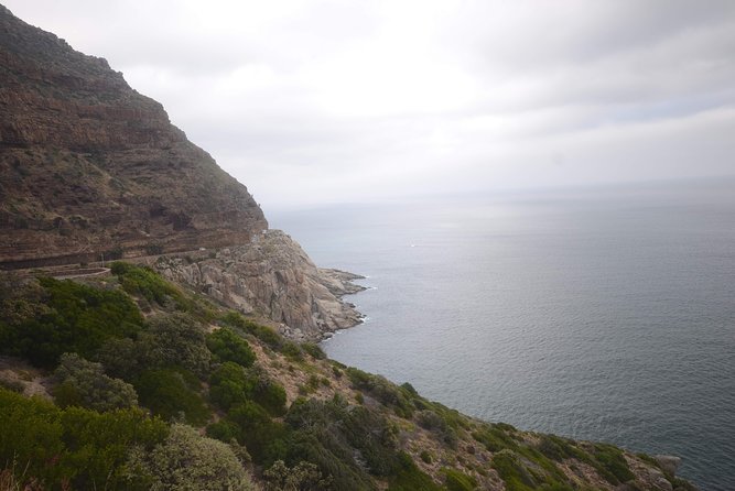 Private Tour: Cape of Good Hope & Boulders Beach Penguin Colony - Customer Satisfaction and Service Quality