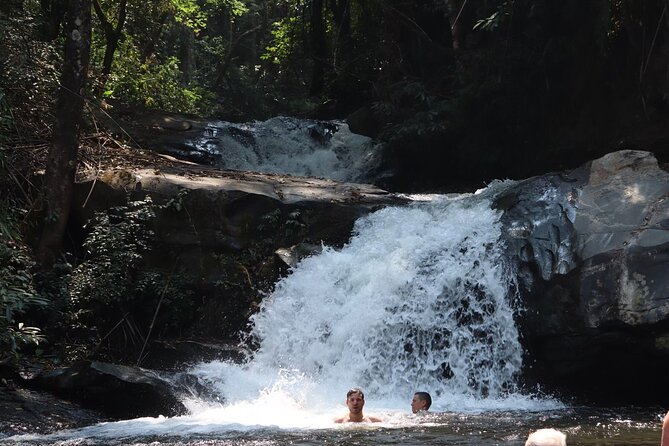 Private Tour Doi Inthanon And Trekking Nature Trail, Chiang Mai - Booking and Pricing Information