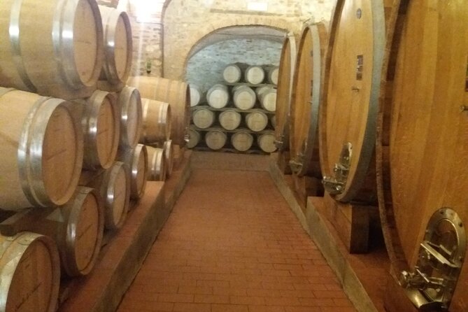 Private Tour in San Gimignano and Chianti Day Trip From Florence - Wine Tasting Opportunities
