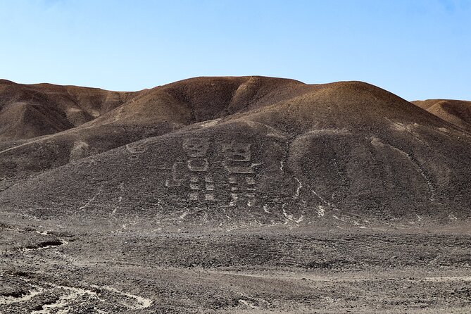 Private Tour Miradores Palpa Nazca With Nazca Lines Overflight - Tour Exclusions