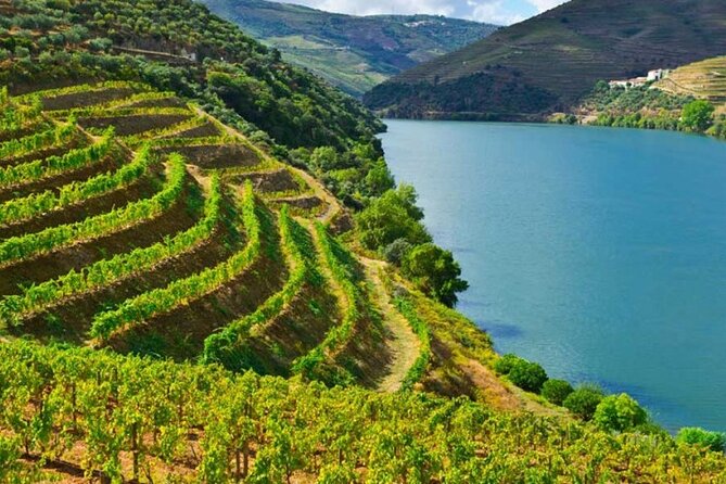 Private Tour of Peljesac Peninsula With Optional Wine Tasting - Booking Information