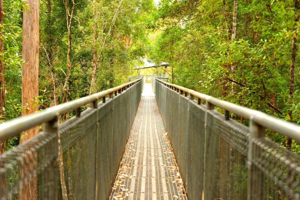 Private Tour of Tahune Airwalk & Hastings Caves From Hobart - Additional Information