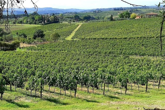 PRIVATE TOUR "Sweet Hills of Chianti and San Gimignano" With Lunch & 2 Tastings - Pricing Structure