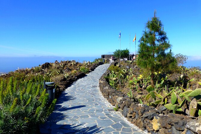 Private Tour to Teide in a Luxury Vehicle - Gourmet Dining Experience