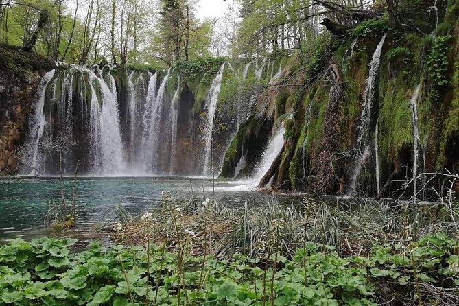 Private Tour to the National Park Plitvice Lakes From Split or Trogir - Pricing Details