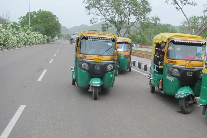 Private Tuk Tuk Tour of Jaipur With Guide - History and Culture Insights