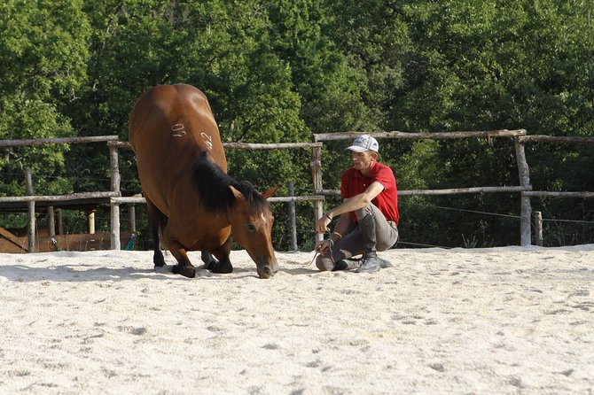 Private Tuscany Horseback Ride - Embrace the Beauty of Tuscany