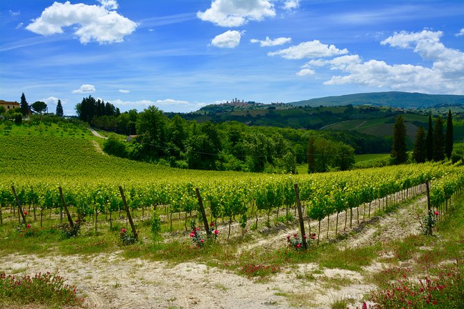 Private Tuscany Tour From Florence Including the Leaning Tower of Pisa and Sangimignano - Tour Highlights