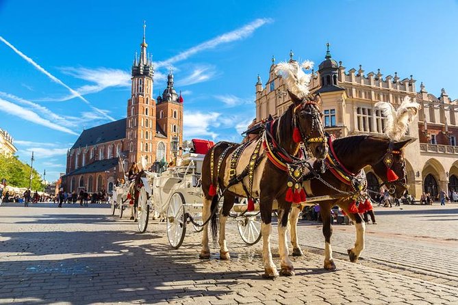 Private, Unique City Tour of Cracow From Warsaw by Express Train With Pick up - Professional Guides and Transportation