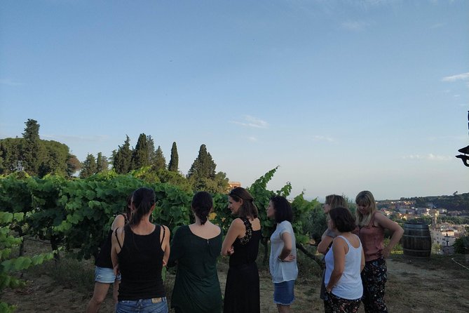 Private Wine Tasting Tour With Picnic Lunch and Hotel Pick up Near Barcelona - Common questions