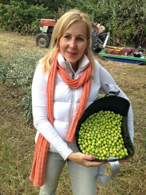 Provence Olive Harvest - Customer Testimonial: A Delightful Experience