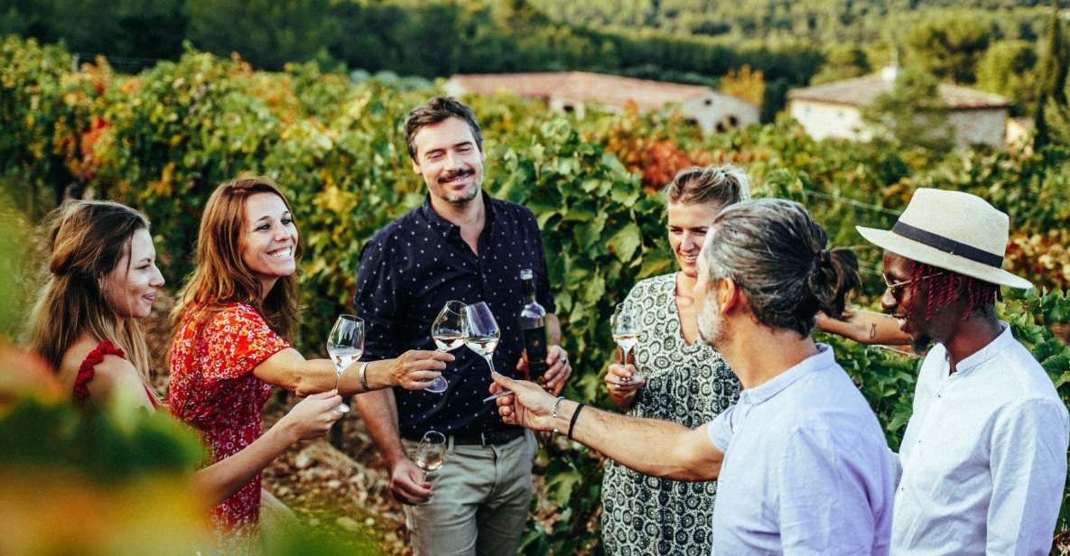 Provence Wine Tour - Small Group Tour From Nice - Vineyard Visits