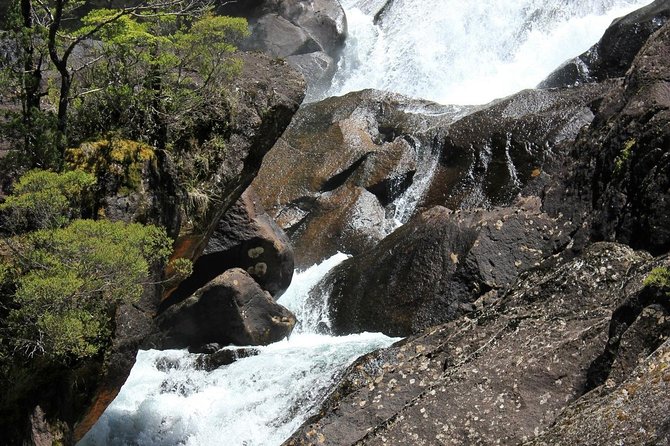 Puerto Blest Cruise & Waterfalls Hike With Optional Frias Lake - Optional Frias Lake Experience