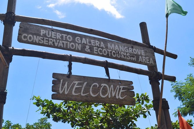 Puerto Galera Snorkeling Activities - Additional Information