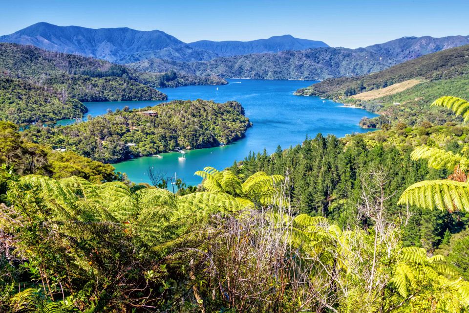 Queen Charlotte Track: Cruise & Self-Guided Hike From Picton - Location & Ratings