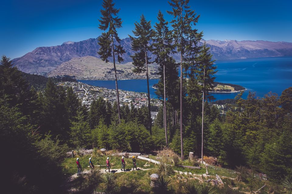 Queenstown: 3-Hour Zipline Adventure With 6-Lines - Additional Information