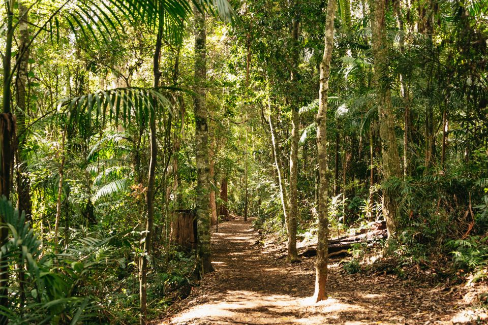 Rainforests and Glow Worm Cave: Day Tour From Brisbane - Booking Information