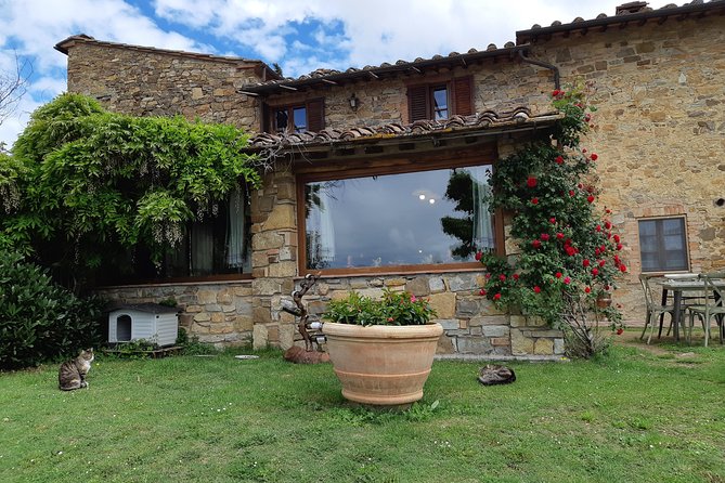Ramble Through the Rolling Hills of Chianti" With Lunch & Wine Tastings - Scenic Views