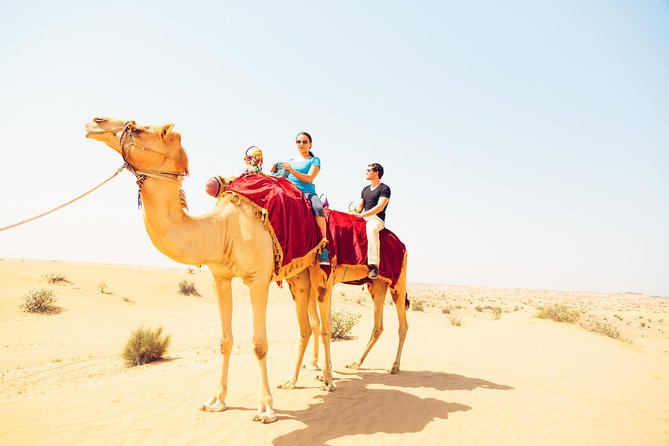 Ras Al-Khaimah: Desert Safari Fun & Adventure Trip With Dinner - Pricing and Support