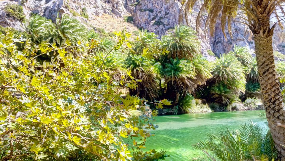 Rethymno Old Town - Preveli Beach - Kourtaliotiko Gorge - Activities at Preveli Beach