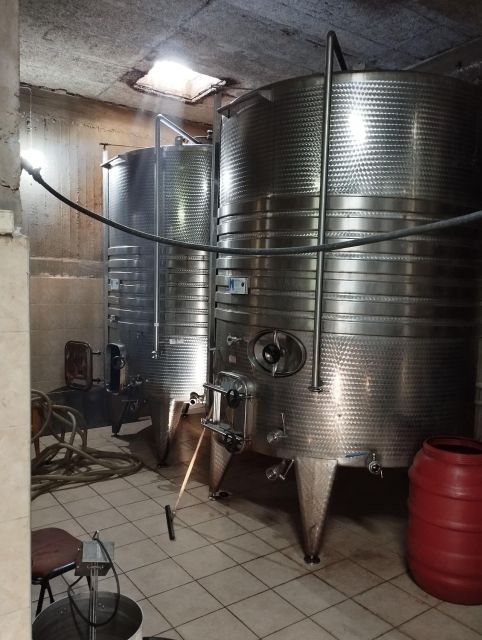 Rethymno Wine Tasting Tour - Activity Experience Details