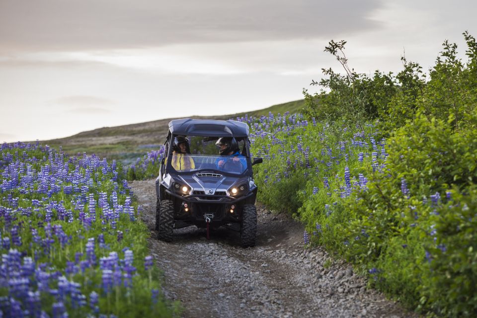 Reykjavik: Buggy Safari Tour With Hotel Transfers - Guest Reviews