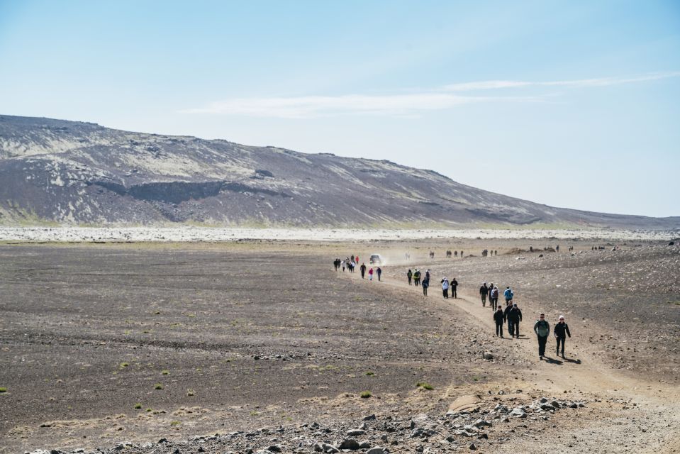 Reykjavik: Guided Tour to Volcano and Reykjanes Geopark - Customer Reviews