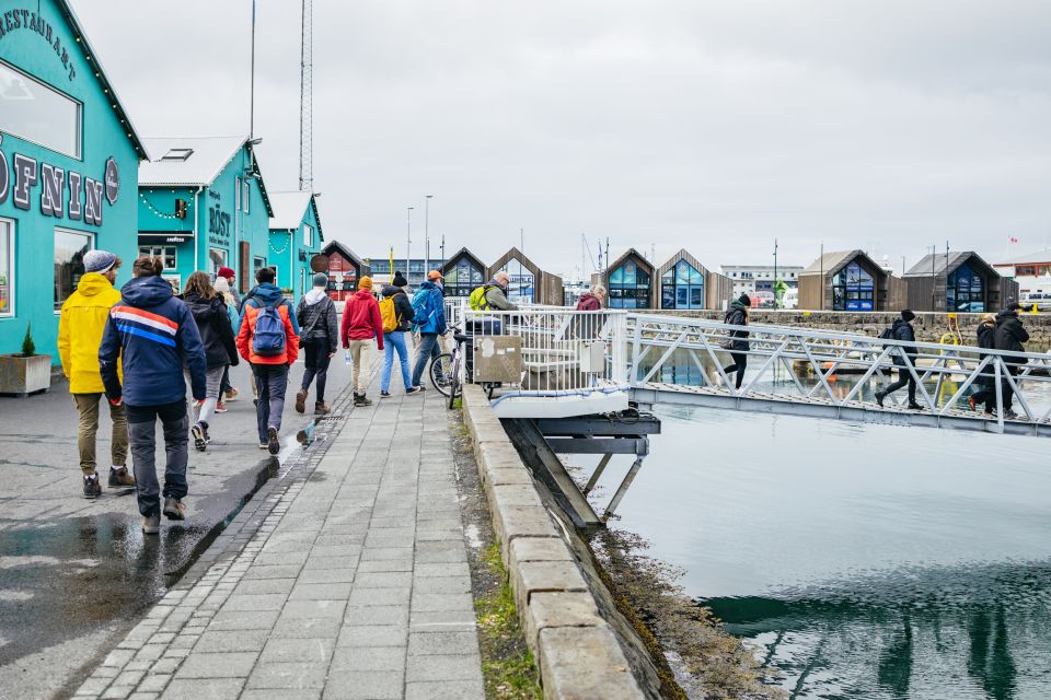 Reykjavik: Puffin Watching Boat Tour - Full Tour Description