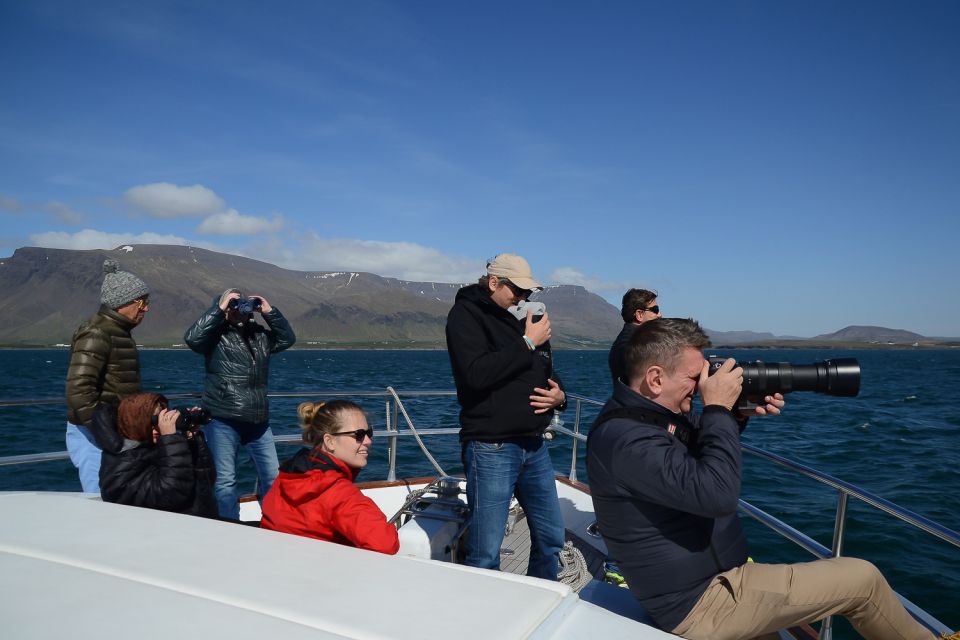 Reykjavik: Whale Watching and Dolphin Watching Yacht Cruise - Wildlife Highlights