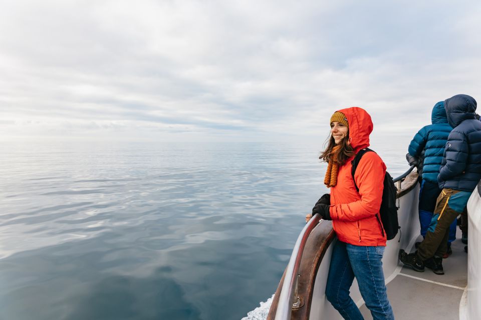 Reykjavík: Whale Watching Cruise on the Amelia Rose Yacht - Important Information for Participants