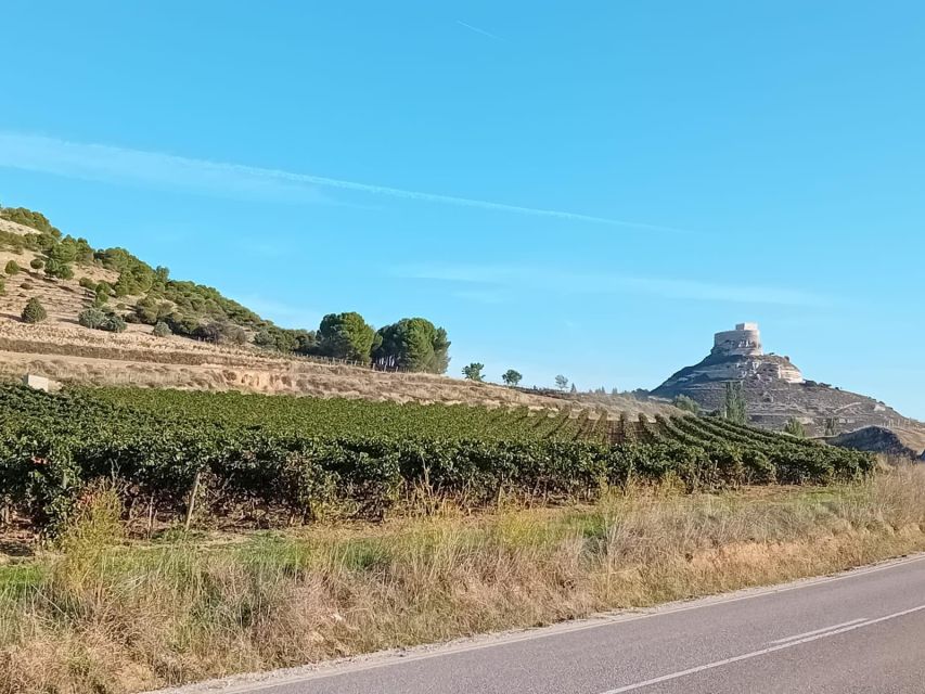 Ribera Del Duero: Wine Tour From Madrid - English or Spanish - Terroir Exploration and Cuisine