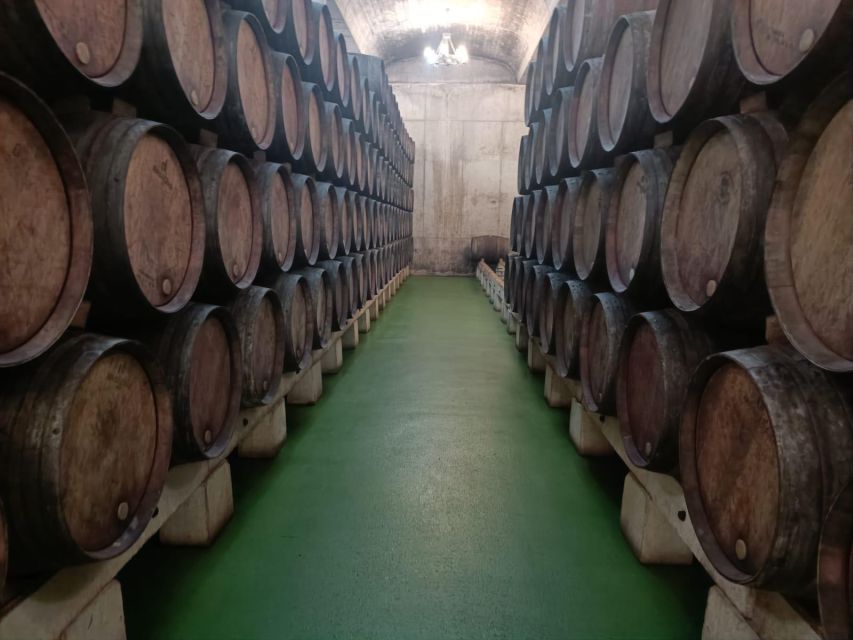 Rioja Wine Tour - Full Day Private Tour From San Sebastian - Booking Information