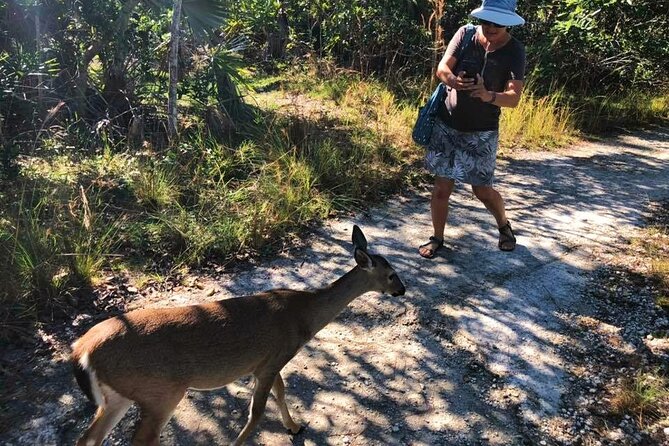 Road Trip Through the Lower Keys Audio Tour - Traveler Reviews