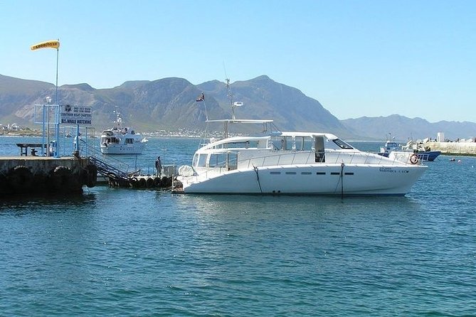 Robben Island Half-Day Tour With Hotel Pickup and Drop-Off  - Cape Town - Booking Details