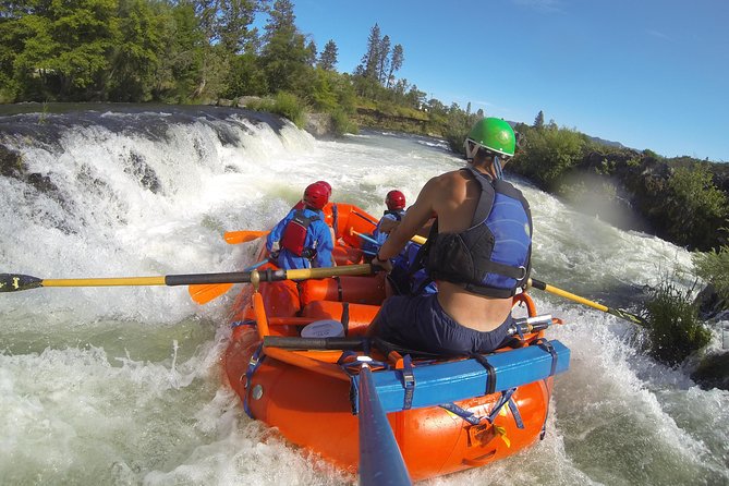 Rogue River Thrill Seeker - Reviews and Traveler Feedback