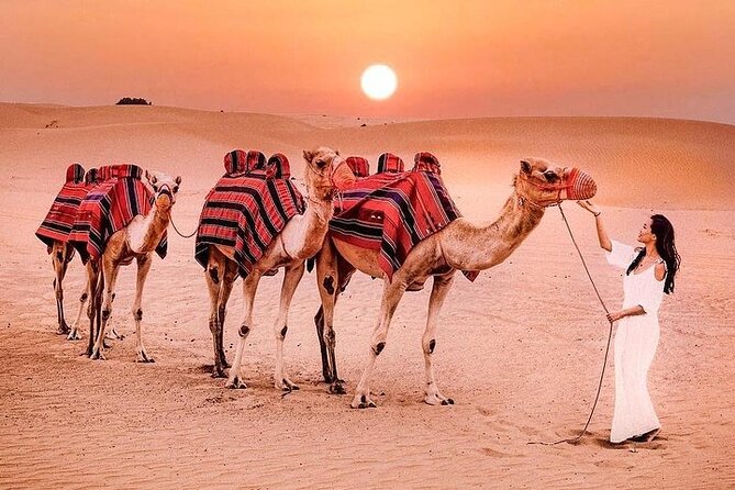 Romantic Desert Safari Dubai - Private Desert Camping Options