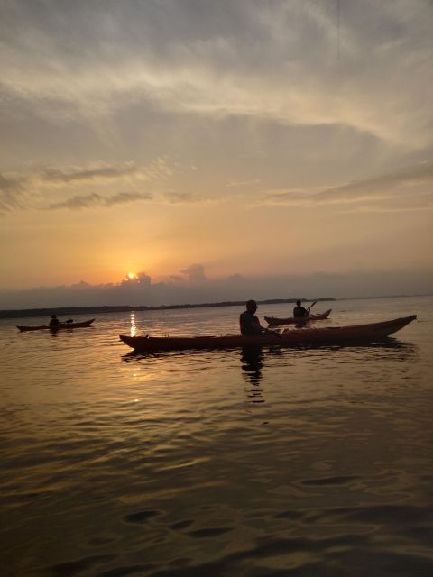 Roskilde: Guided Kayaking on Roskilde Fjord: Sunset Tour - Inclusions