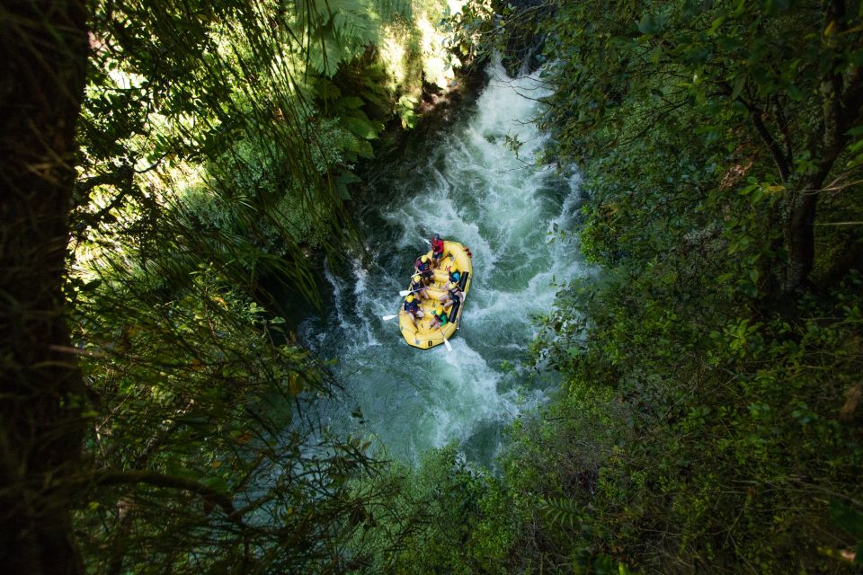 Rotorua: Kaituna River Rafting Experience - Customer Reviews