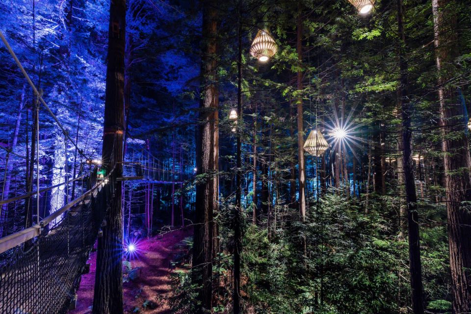 Rotorua: Redwoods Altitude & Day/Night Treewalk Combo - Review Summary