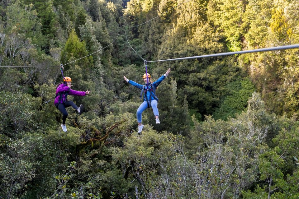 Rotorua: Ultimate Guided Zipline Tour W/ Volcanic Cliff Walk - Detailed Itinerary