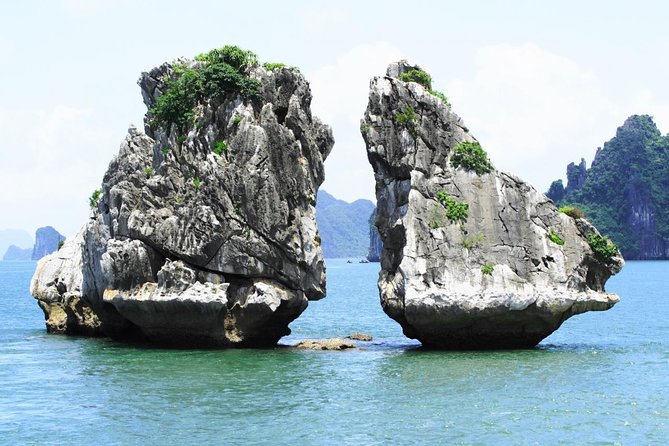 Round-Trip Hanoi to Halong Private Vehicle Charter - Contact Information and Terms & Conditions