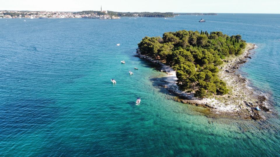 Rovinj: Rovinj Archipelago and South Coves Speedboat Tour - Itinerary Details