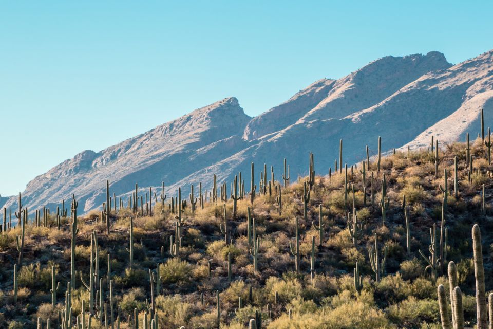 Saguaro National Park Self Guided Driving Audio Tour - Inclusions