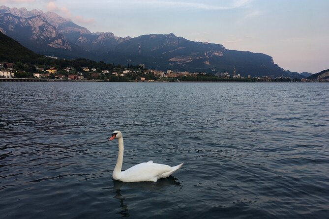 Sailing at Sunset on Lake Como: How to Escape From Daily Routine - Lake Comos Tranquil Waters