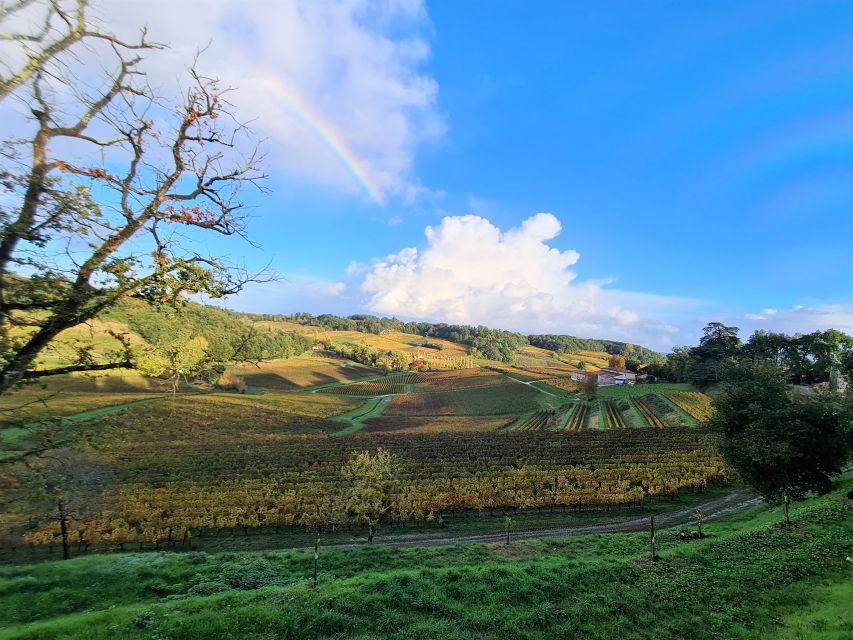 Saint-Emilion Morning Wine Tour - Winery & Tastings - Customer Reviews