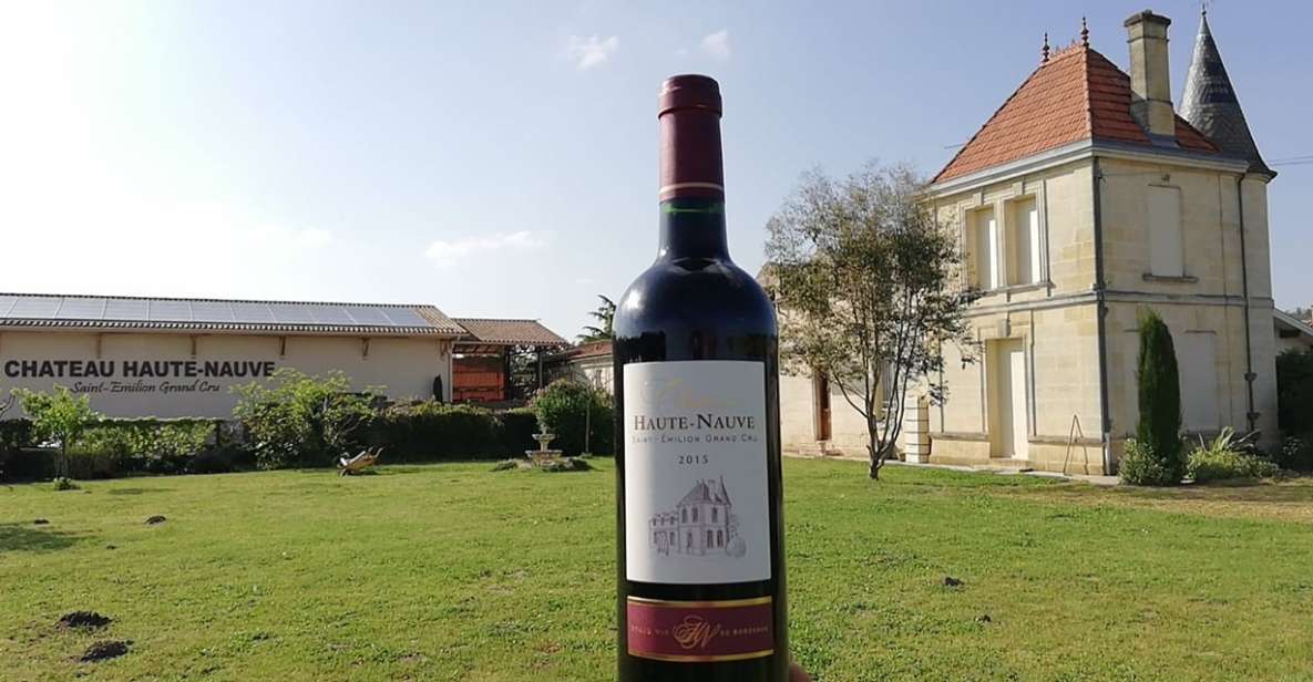 Saint-Émilion: Vineyard Walking Tour and Tasting - Last Words