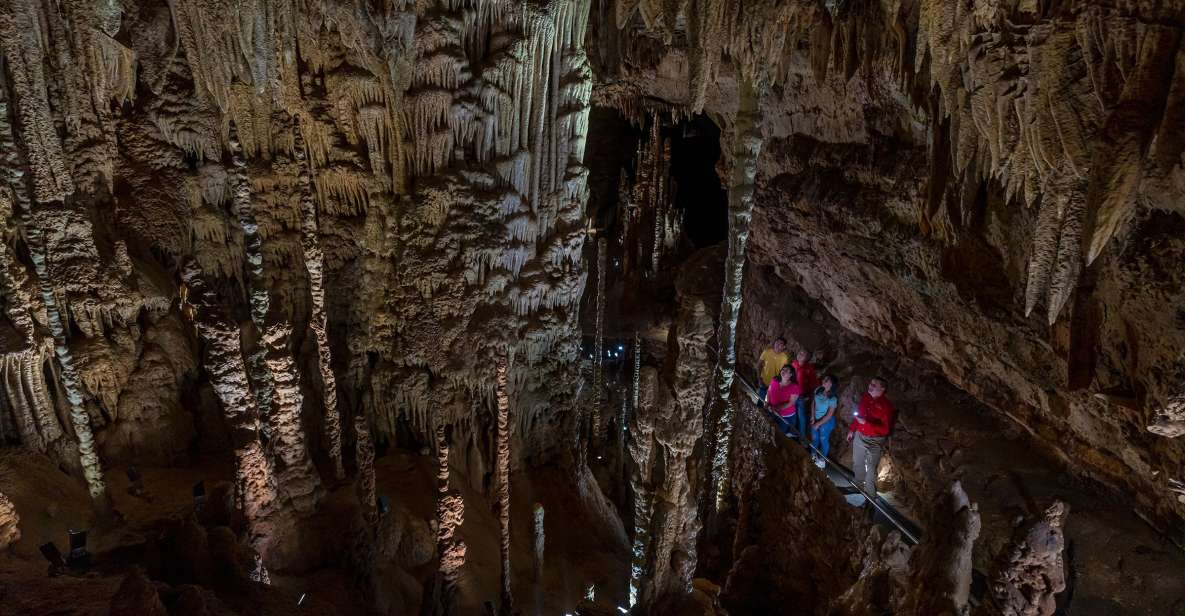 San Antonio: Discovery Tour at Natural Bridge Caverns - Common questions