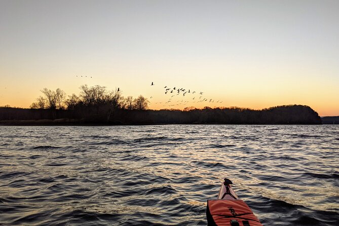 Sandhill Crane Kayak Tour With Chattanooga Guided Adventures - Booking Information