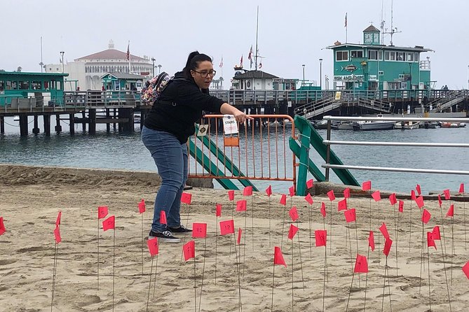 Santa Catalina Island Race and Mystery Experience From Avalon - Last Words